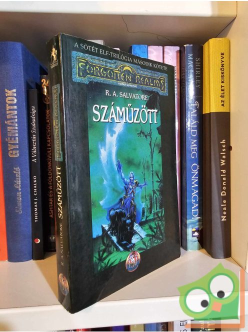 R. A. Salvatore: Száműzött (Sötételf 2.) (Drizzt legendája 2.) (Forgotten Realms)