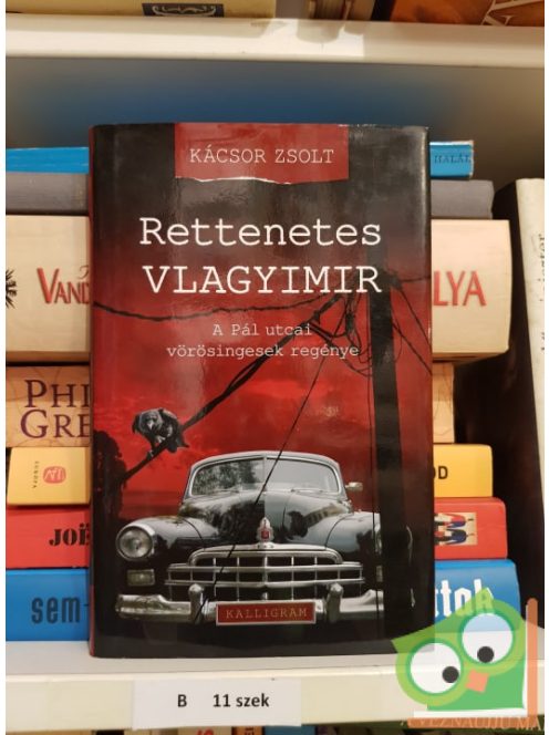 Kácsor Zsolt: Rettenetes Vlagyimir