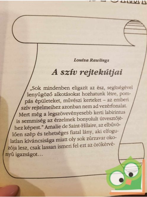 Louisa Rawlings: A szív rejtekútjai (Romana Széphistória 1994/5)