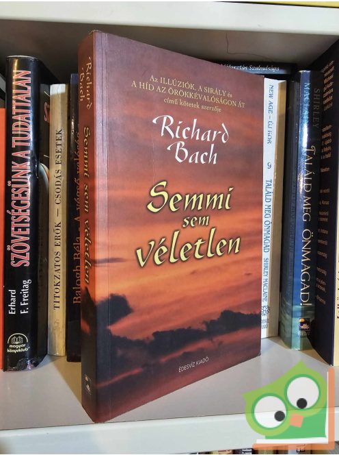 Richard Bach: Semmi sem véletlen