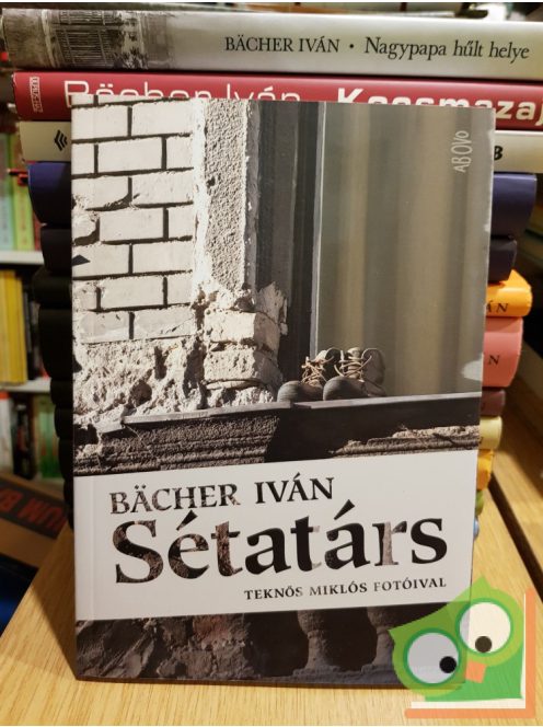 Bächer Iván: Sétatárs