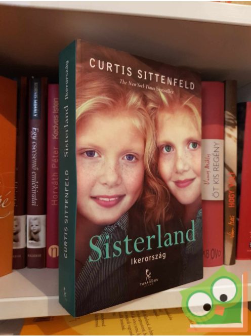 Curtis Sittenfeld: Sisterland - Ikerország