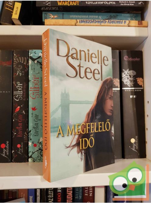 Danielle Steel: A megfelelő idő (ritka)