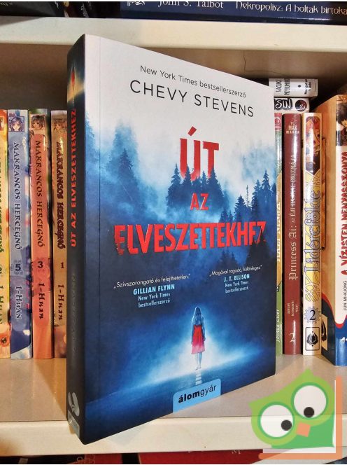 Chevy Stevens: Út az elveszettekhez