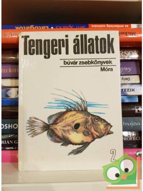 Pénzes Bethen: Tengeri állatok 2. (Búvár zsebkönyvek)