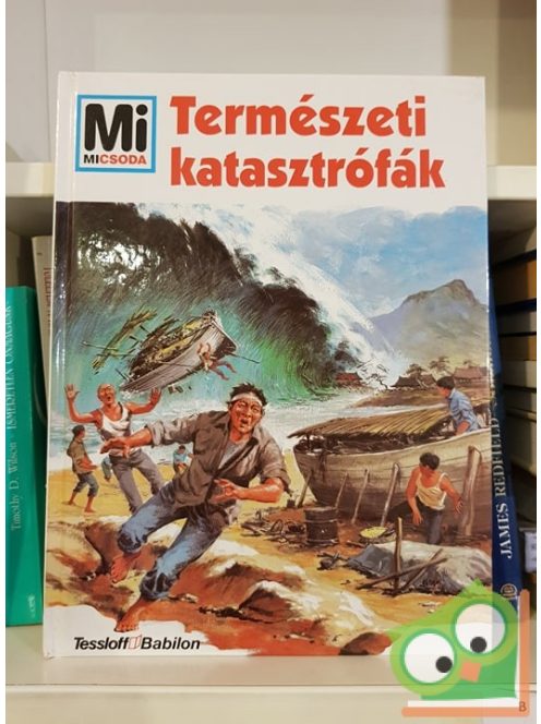 Rainer Crummenerl: Természeti katasztrófák (Mi micsoda 5.)