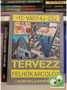   Hilary Koll, Steve Mills: Tervezz felhőkarcolót (Te vagy az ész)