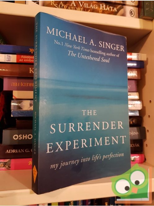 Michael A. Singer: The Surrender Experiment: My Journey into Life's Perfection