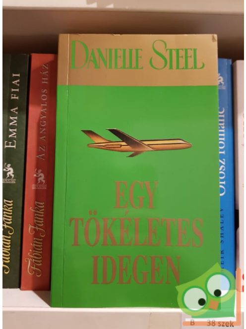 Danielle Steel: Egy tökéletes idegen