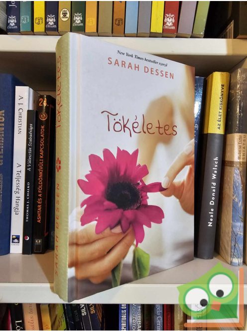 Sarah Dessen: Tökéletes