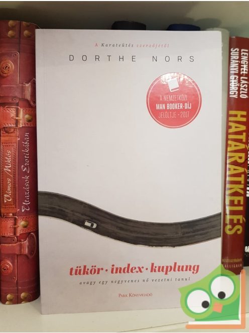 Dorthe Nors: Tükör, index, kuplung avagy egy negyvenes nő vezetni tanul