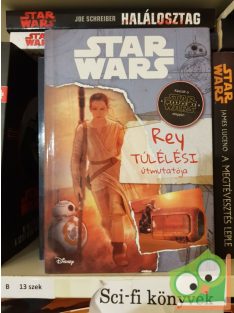 Jason Fry: Rey túlélési útmutatója