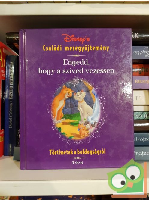 Sheryl Kahn, Ann Braybrooks ,Vanessa Elder,  Riza Walsch-Balducci: Walt Disney családi mesegyűjtemény